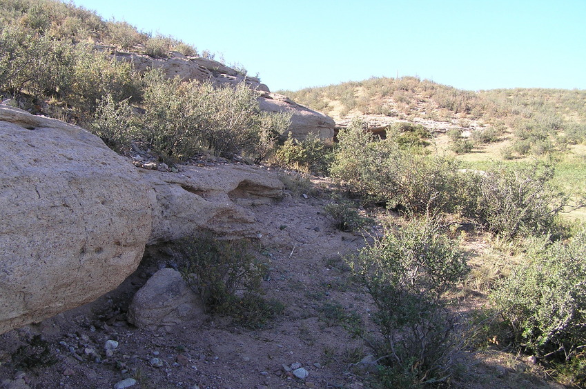 View to the south from the confluence.