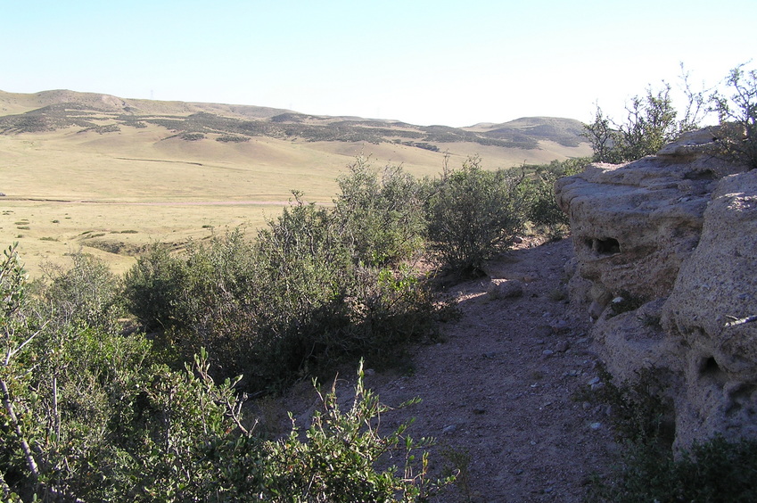 View to the north from the confluence.