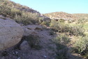 #4: View to the south from the confluence.