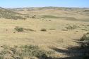 #6: View to the northwest from the confluence. 