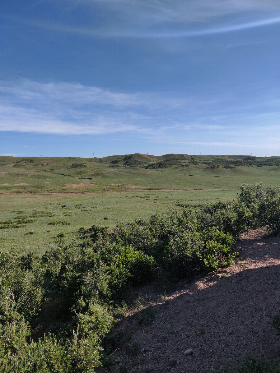 View to North from confluence point