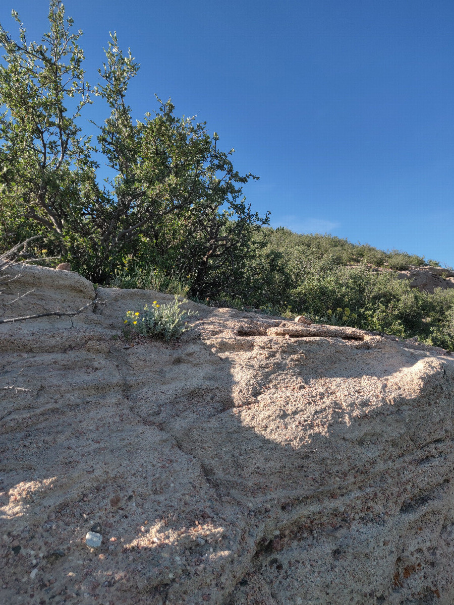 View to south from confluence point