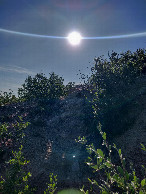 #6: View to east from confluence point