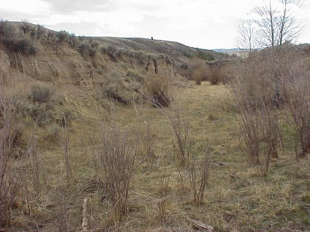 Looking downstream along Maggie Creek, 50 meters southwest of the confluence.