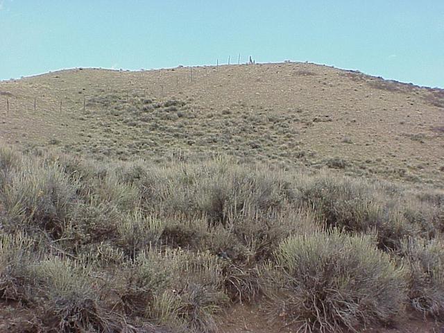 Looking east up our first hill to tackle on the confluence trek.