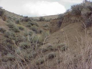 #1: View to the southwest from the confluence point, down Maggie Creek.