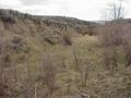 #6: Looking downstream along Maggie Creek, 50 meters southwest of the confluence.