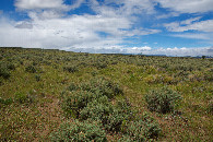 #4: View West (towards a rural dirt road, just 200 feet away)