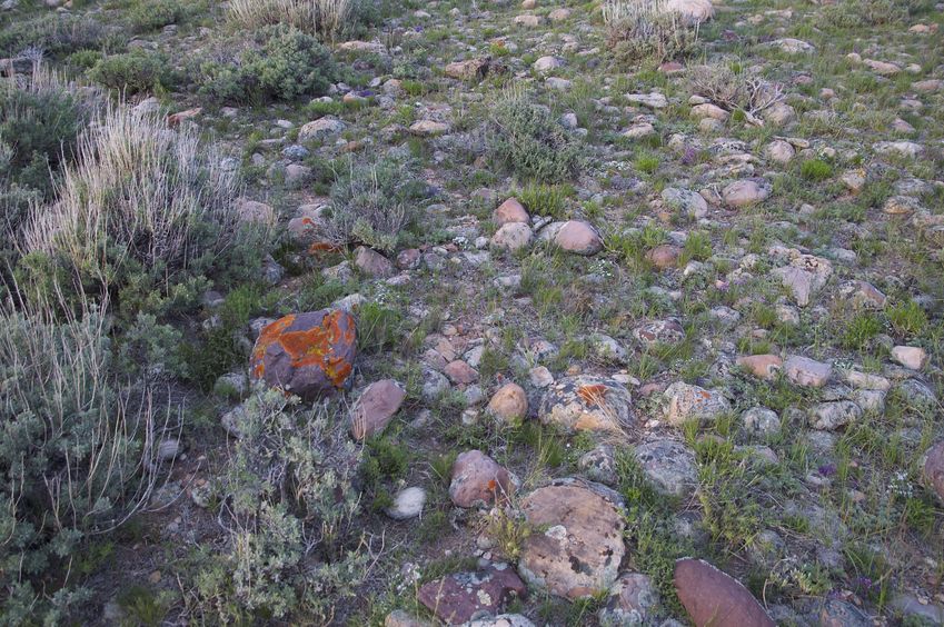 The confluence point lies near the top of a rock-strewn ridge