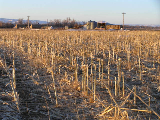 View to the southwest showing the nearest farmhouse.