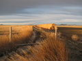 #9: Looking West at irrigation ditch at the corner of Reservoir Road and Ayers Road.  Note tumbleweed on the right.