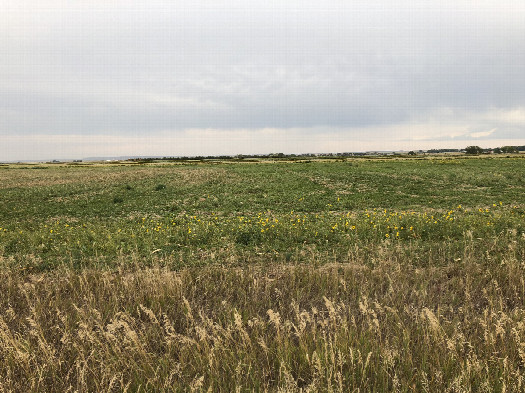 #1: View to the East and the confluence