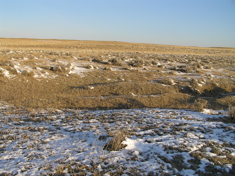 View to the north from the confluence.