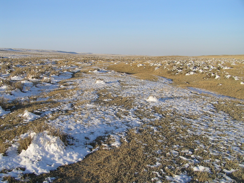 View to the west from the confluence.