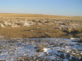 #2: View to the north from the confluence.