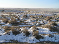 #4: View to the south from the confluence.