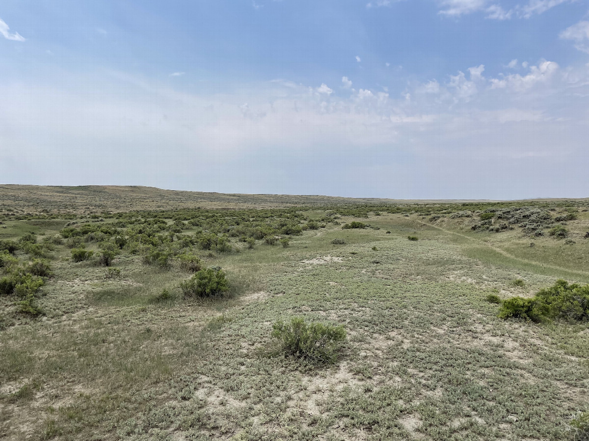 View SW toward the confluence in the foreground