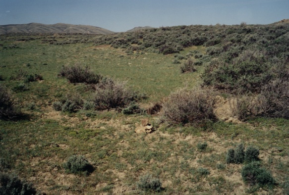 Small rock cairn to mark confluence