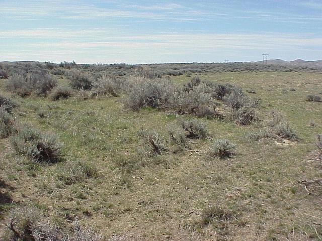 View to the south from the confluence.