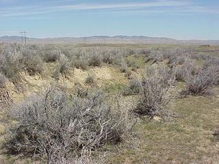 #1: Confluence of 42 North 107 West, looking north down the gully.