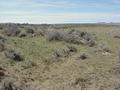 #3: View to the south from the confluence.