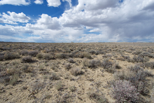 #1: The confluence point lies in a sagebrush-covered plain.  (This is also a view to the North, showing oil fracking facilities nearby,)