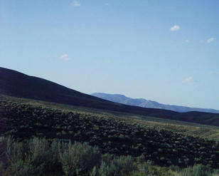 #1: looking north from the confluence point