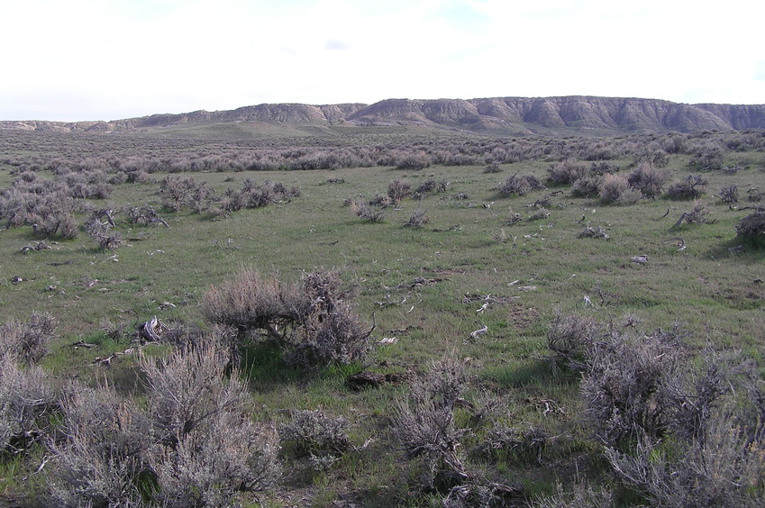 View to the south from the confluence.