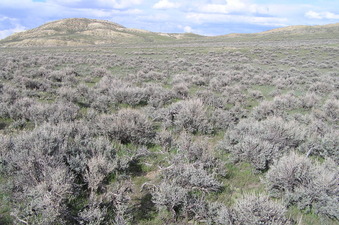 #1: Site of 43 North 107 West, in the middle of the foreground, looking east-northeast.