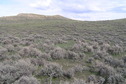 #4: View to the east from the confluence.