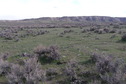 #5: View to the south from the confluence.