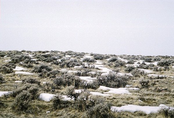 View west. This was looking up the hill.