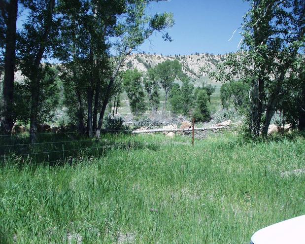 looking west across the tree-lined Wood River