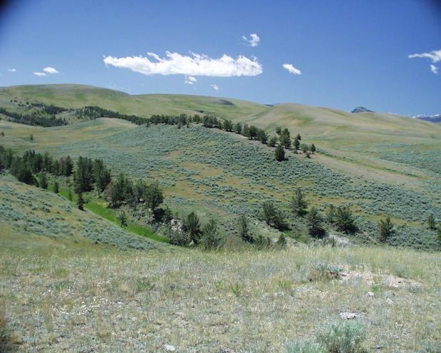 looking south towards the confluence from a nearby hillside vantage point