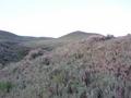 #3: Looking South from site, rolling hills gain elevation.