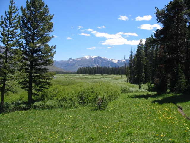 Yellowstone river marshlands, approaching Hawks Rest