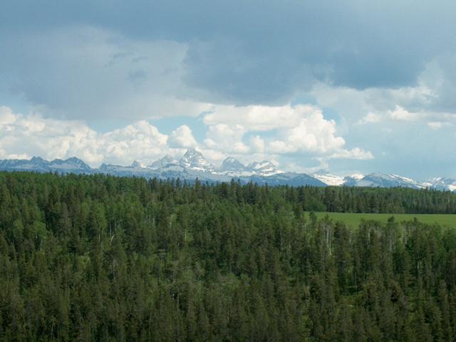 View of the Tetons on the ride in