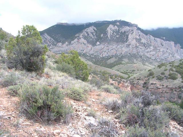 Looking East from site toward the Bighorn Mountains.