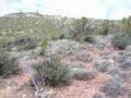 #3: Looking North from site, up one of the area’s rugged hills.