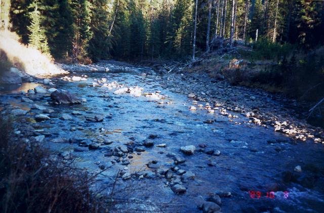 I had to cross this creek without getting wet