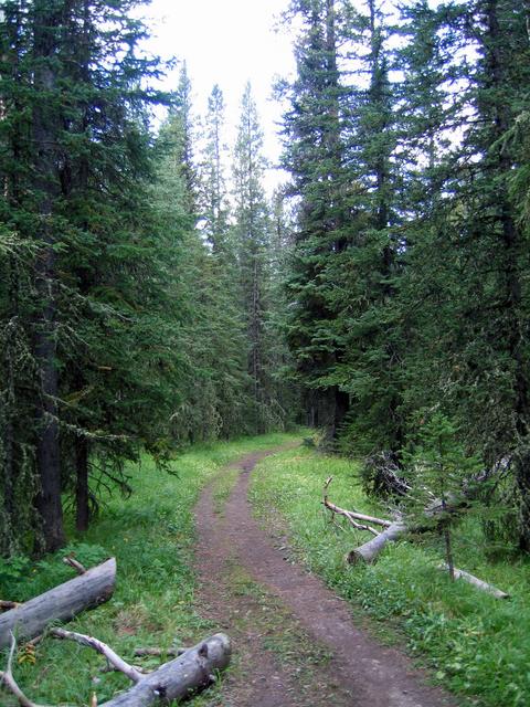 Along the trail