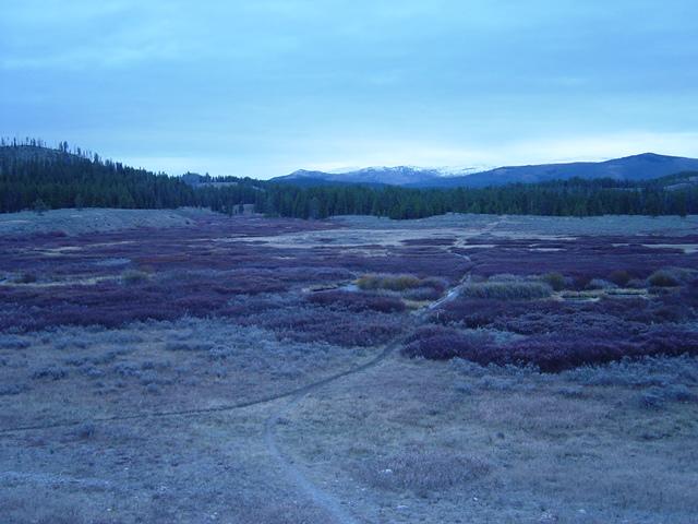 View up the trail from the Trailhead