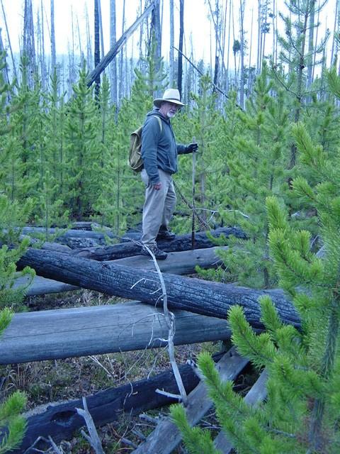 My dad, Larry Turney, hiking through the fallen trees.