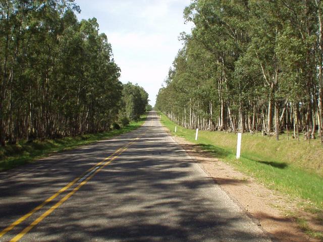 Near the confluence