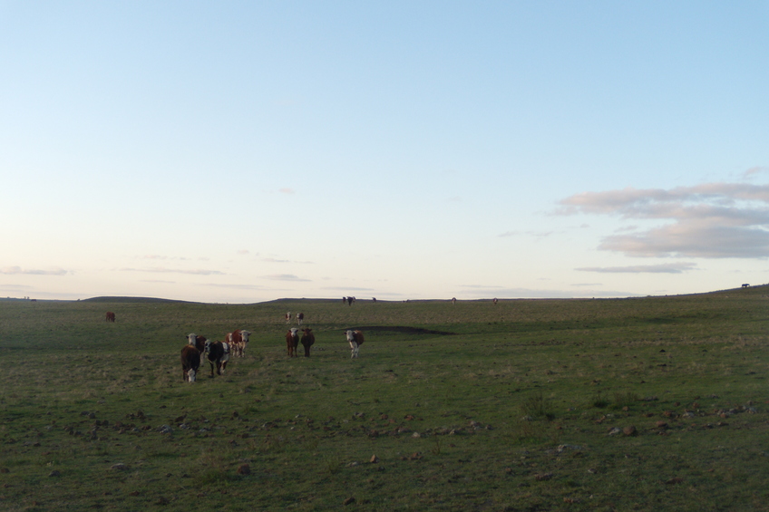 Vista hacia el norte - View to the north