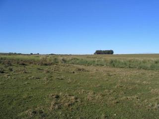 #1: Confluence Point looking east