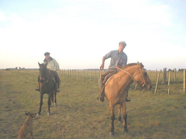 Gauchos