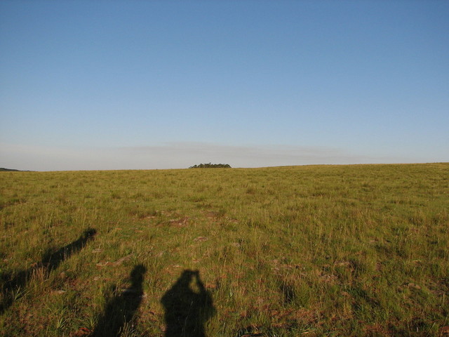 East  view from the confluence point