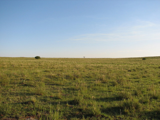 South view from the confluence point