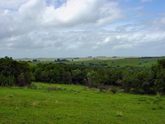 The Confluence Point from ~100m